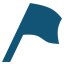 TrueViewIcon_Set Destination Flags.png